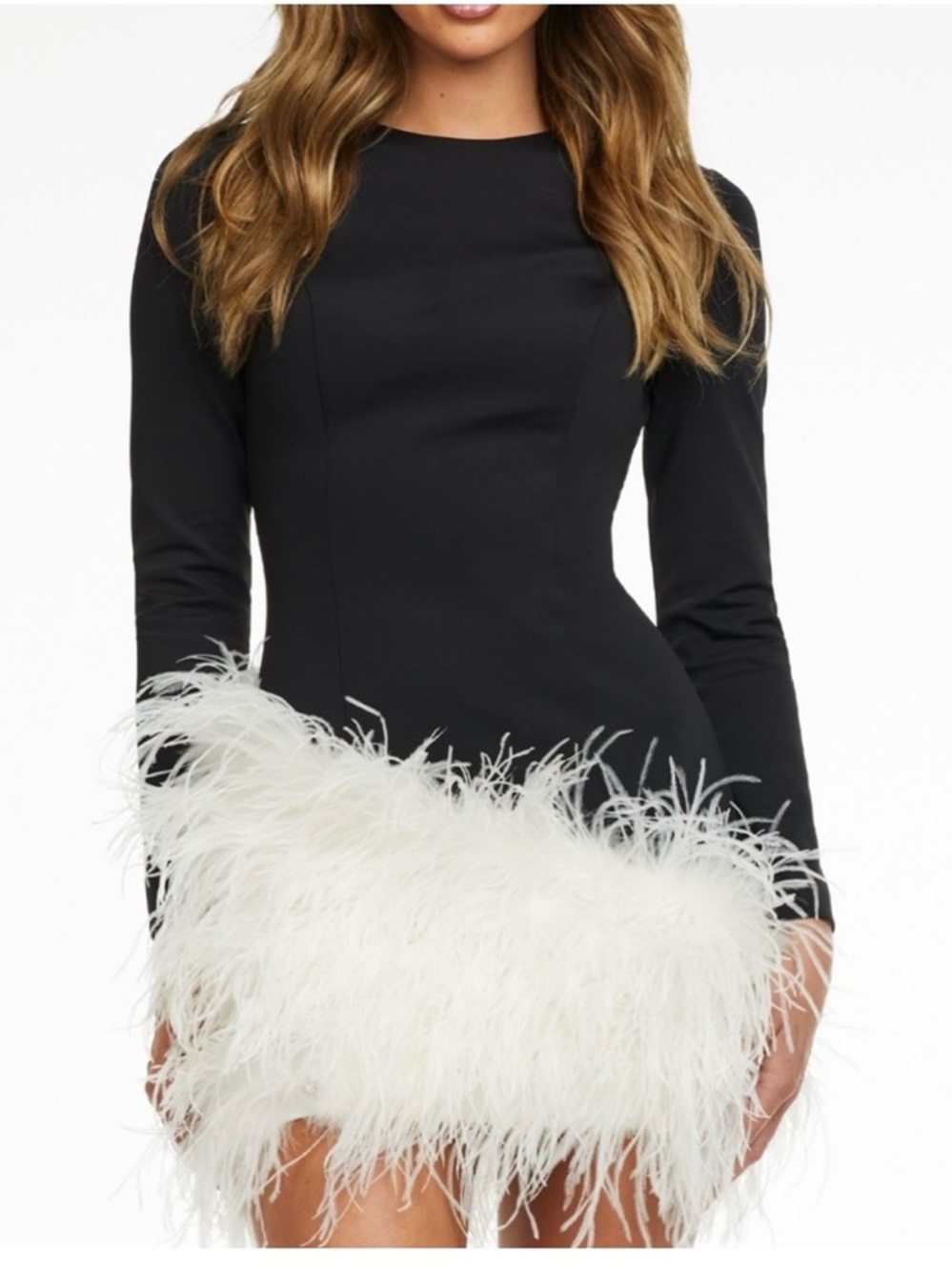 Ashley Lauren Cocktail Dress